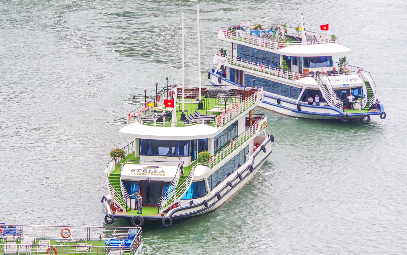 Stella Maris Daily Cruise. Photo by Stella Maris Daily Cruise.