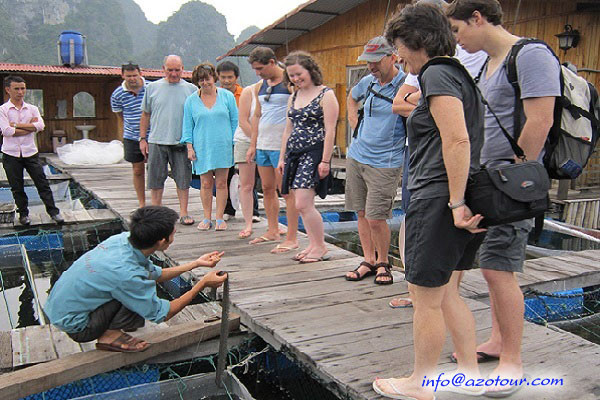 Tung Sau Pearl Farm