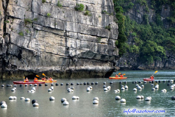 Tung Sau Pearl Farm