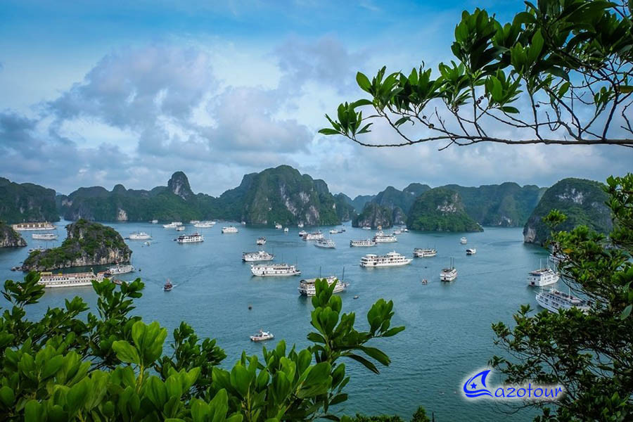 Ha Long Bay Cruise | 6 HRS Cruising | One Day Tour