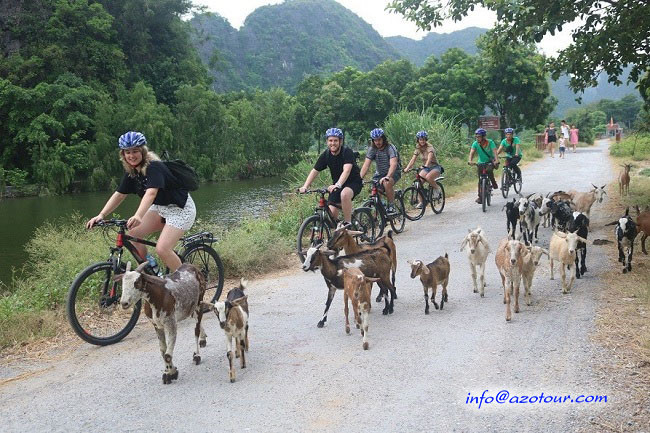 Biking In The Villages 