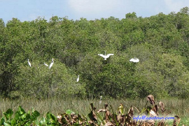 Bang Lang Stork Garden