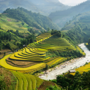 Ha Giang