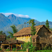 Sapa