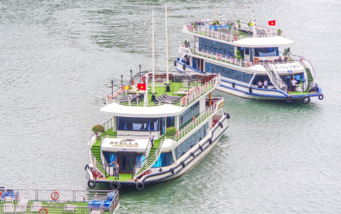 Stella Maris Daily Cruise