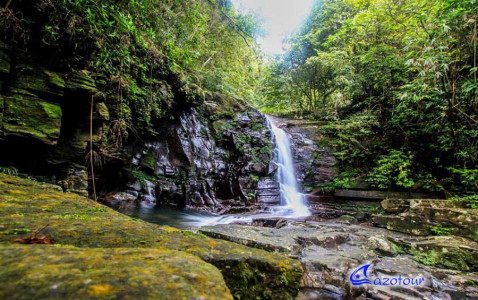 Bach Ma National Park Full Day Trek Bach Ma National Park Full Day Trek