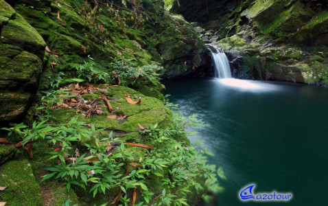 Bach Ma National Park Full Day Trek Bach Ma National Park Full Day Trek
