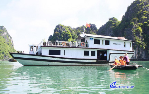 Petit White Dolphin Cruise - Private Boat