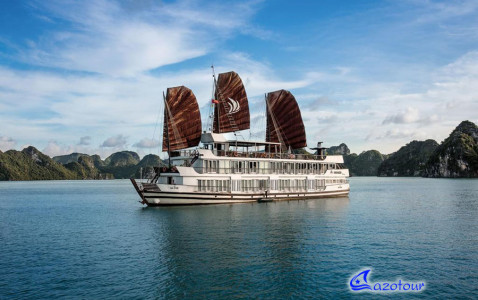 Pelican Cruise - Deluxe Boat