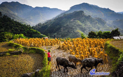 Ha Giang Mountainous Real Life Discovery