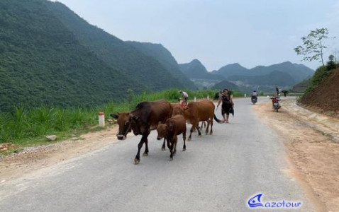 Ha Giang Mountainous Real Life Discovery
