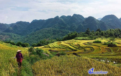 Mai Chau - Pu Luong Nature Reserve Discovery Mai Chau - Pu Luong Nature Reserve Discovery