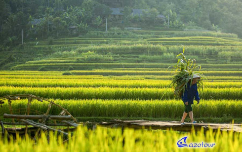 Mai Chau - Pu Luong Nature Reserve Discovery Mai Chau - Pu Luong Nature Reserve Discovery