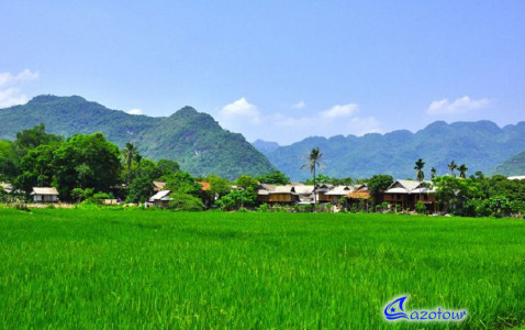 Mai Chau - Pu Luong Nature Reserve Discovery Mai Chau - Pu Luong Nature Reserve Discovery