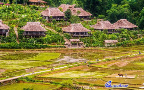 Mai Chau - Pu Luong Nature Reserve Discovery Mai Chau - Pu Luong Nature Reserve Discovery