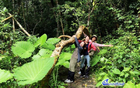 Nam Cat Tien National Park Discovery