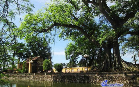 Nam Dinh Countryside Full Day Excursion