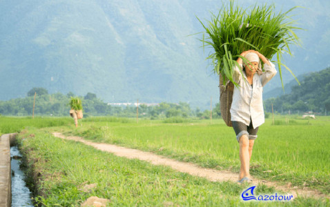 Mai Chau Easy Trekking Mai Chau Easy Trekking