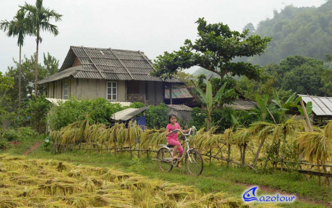 Mai Chau Easy Trekking Mai Chau Easy Trekking