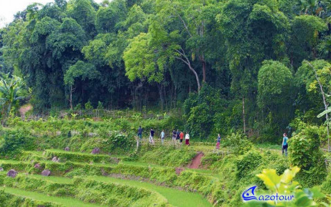 Mai Chau Easy Trekking Mai Chau Easy Trekking