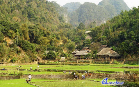 Mai Chau Easy Trekking Mai Chau Easy Trekking