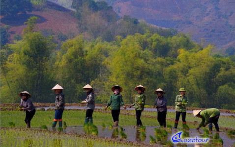 Mai Chau Get Away Mai Chau Get Away
