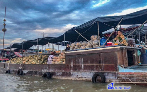 Mekong Delta's Floating & Natural Life Voyage