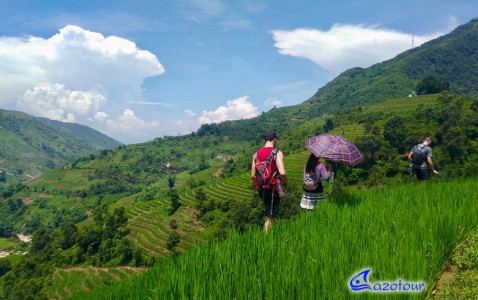 Hanoi - Sapa - Ha Giang: Mountains and Rice Fields