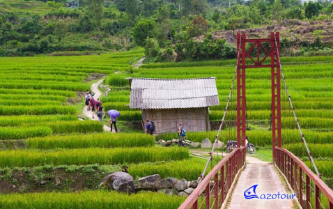 Sapa Highlights By Day Bus
